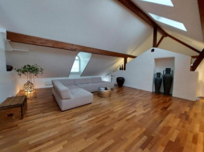 Splendide loft avec vue sur le lac
